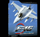 F-16 Multirole Fighter